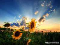 邳州杰之锐商贸有限公司