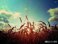 邳州杰之锐商贸有限公司