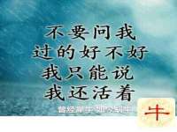 邳州杰之锐商贸有限公司