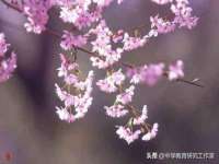 邳州杰之锐商贸有限公司