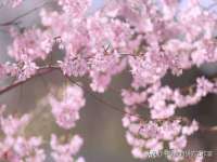 邳州杰之锐商贸有限公司
