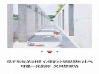 邳州杰之锐商贸有限公司