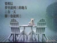 邳州杰之锐商贸有限公司