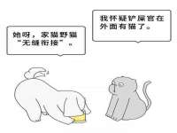 邳州杰之锐商贸有限公司