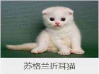 邳州杰之锐商贸有限公司
