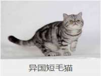 邳州杰之锐商贸有限公司