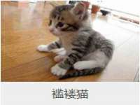 邳州杰之锐商贸有限公司