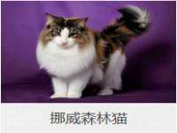 邳州杰之锐商贸有限公司