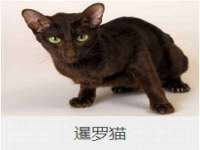 邳州杰之锐商贸有限公司