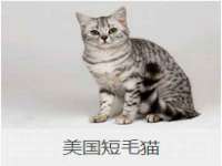 邳州杰之锐商贸有限公司