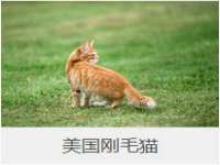 邳州杰之锐商贸有限公司
