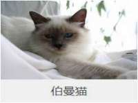 邳州杰之锐商贸有限公司