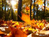 邳州杰之锐商贸有限公司