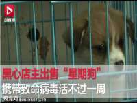 邳州杰之锐商贸有限公司