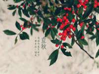 邳州杰之锐商贸有限公司