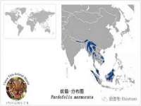 邳州杰之锐商贸有限公司