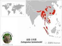 邳州杰之锐商贸有限公司