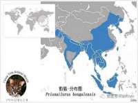 邳州杰之锐商贸有限公司