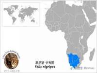 邳州杰之锐商贸有限公司