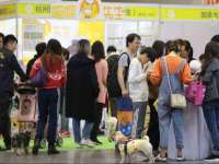 邳州杰之锐商贸有限公司