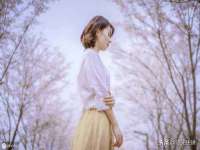 邳州杰之锐商贸有限公司