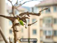 邳州杰之锐商贸有限公司