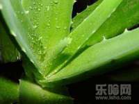 邳州杰之锐商贸有限公司