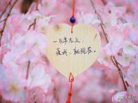 邳州杰之锐商贸有限公司