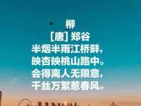 邳州杰之锐商贸有限公司