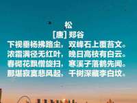 邳州杰之锐商贸有限公司
