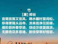 邳州杰之锐商贸有限公司