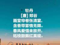 邳州杰之锐商贸有限公司