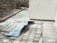邳州杰之锐商贸有限公司