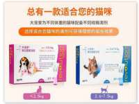 邳州杰之锐商贸有限公司