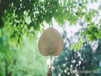 邳州杰之锐商贸有限公司