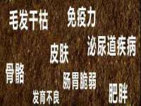 邳州杰之锐商贸有限公司