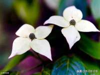 邳州杰之锐商贸有限公司