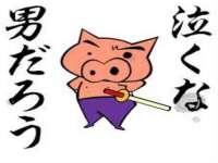 邳州杰之锐商贸有限公司