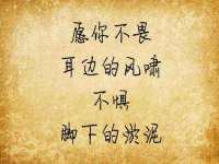 邳州杰之锐商贸有限公司