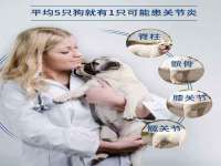 邳州杰之锐商贸有限公司