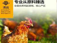 邳州杰之锐商贸有限公司