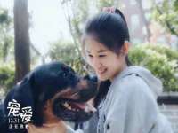 邳州杰之锐商贸有限公司