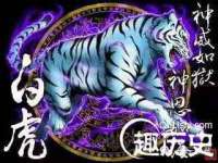 邳州杰之锐商贸有限公司