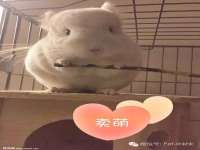 邳州杰之锐商贸有限公司