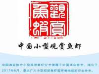 邳州杰之锐商贸有限公司