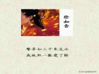 邳州杰之锐商贸有限公司