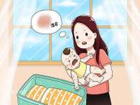 邳州杰之锐商贸有限公司