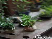 邳州杰之锐商贸有限公司
