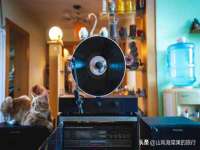 邳州杰之锐商贸有限公司