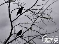 邳州杰之锐商贸有限公司